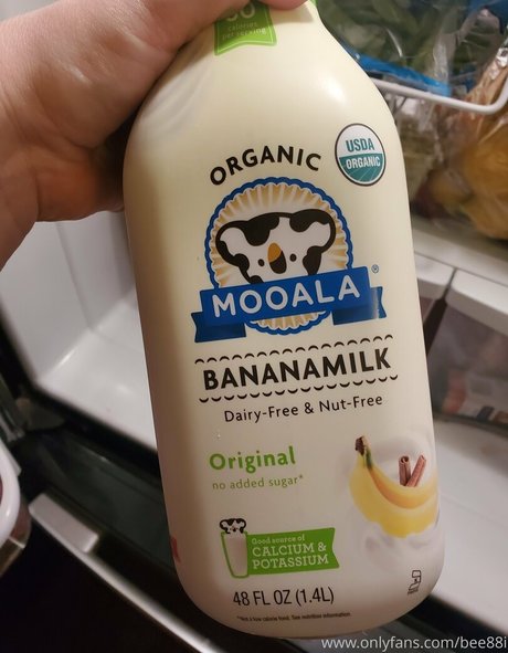 bee88i belle étoile photo