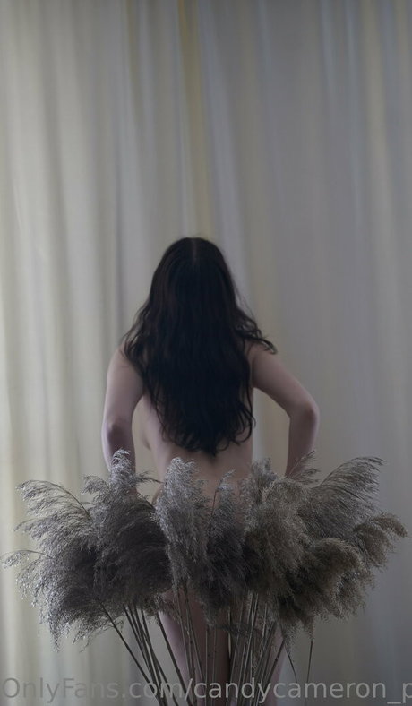 candycameron private modelo adulto imágenes