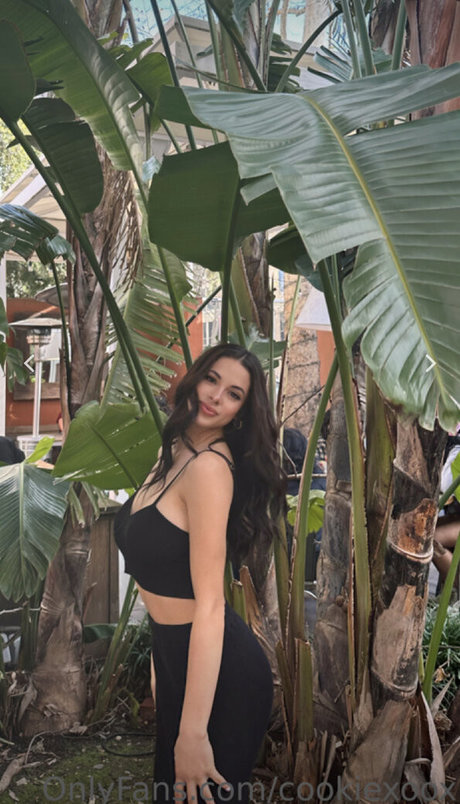 Bri Cookie meilleure star du porno photo