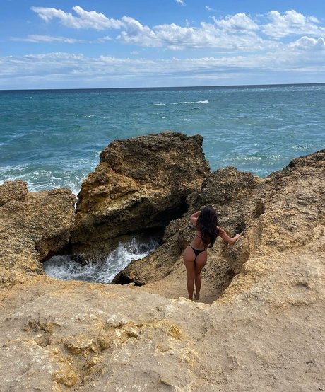 sjbleau estrella del arte recopilación