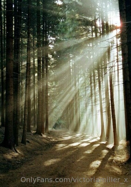 victoriamiller x belle actrice galeries