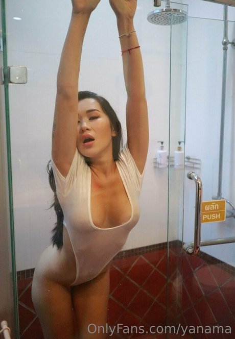 yanama étoile de l'art image