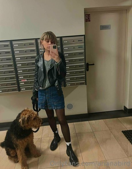 arianabird Imagen de perfil