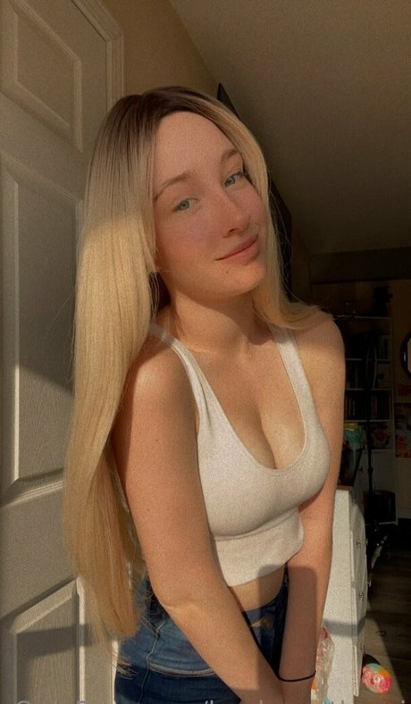 books withaeri modelo de alta calidad foto