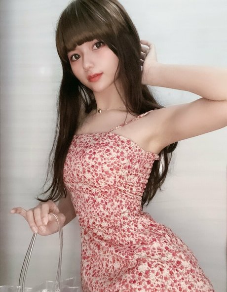 micacos estrella de alta calidad fotos