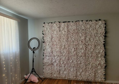 darciebellefree modèle pornographique img