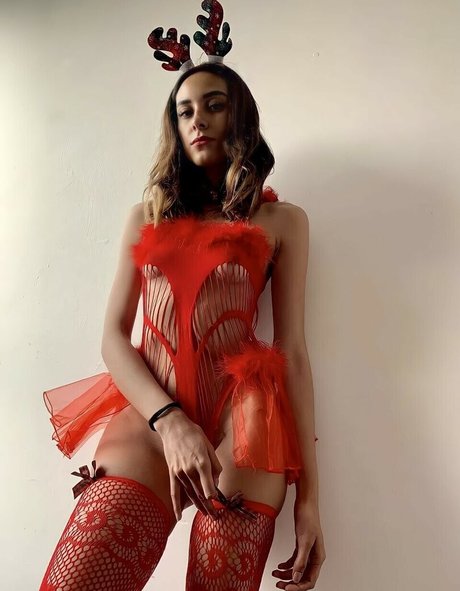 Mafershof nus étoiles galerie