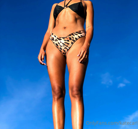 katecarl haut étoile archive