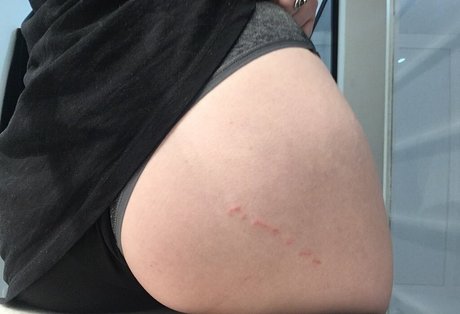 Carrenopol estrella xxx recopilación