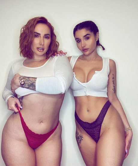 paigeturnahvault estrella del arte galería