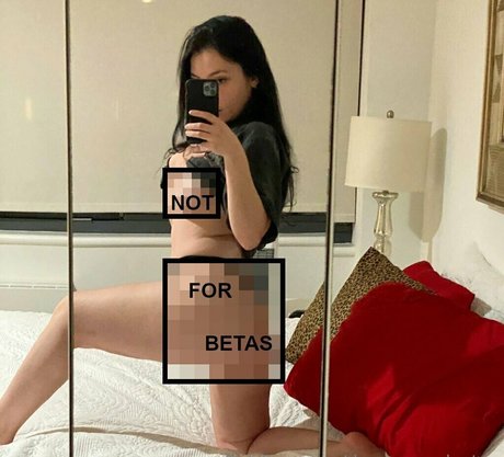 thecensoredwriter star du porno img