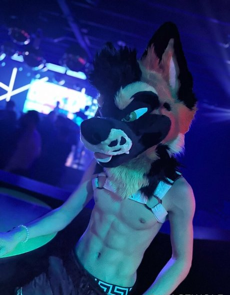 palacewolf buena estrella porno foto