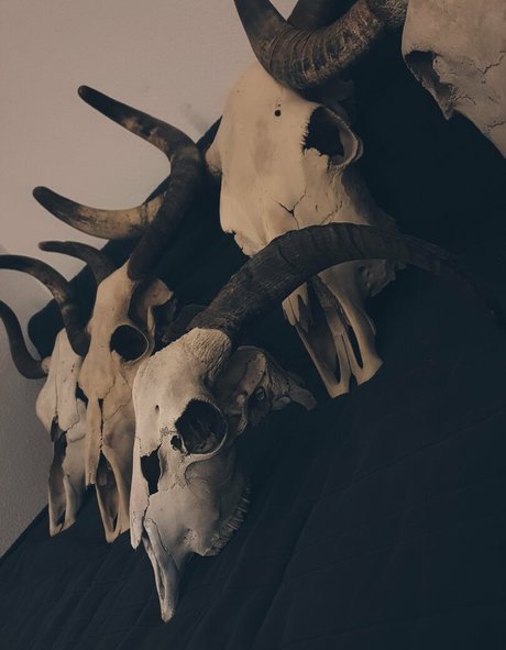 mingnaa estrella porno galería