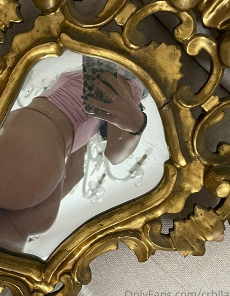 toyperra hermosa modelo archivo