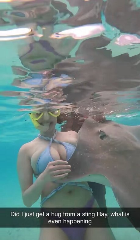 Rachel Levin belle étoile galerie