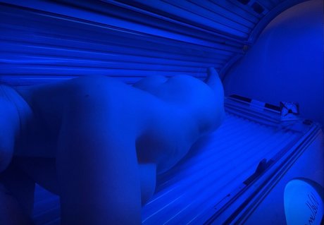 vmescudi estrella del arte galerías