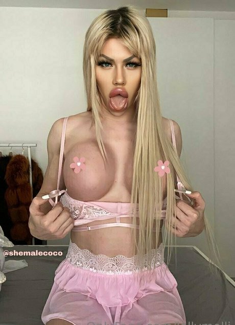 lollymolli star du porno érotique photos