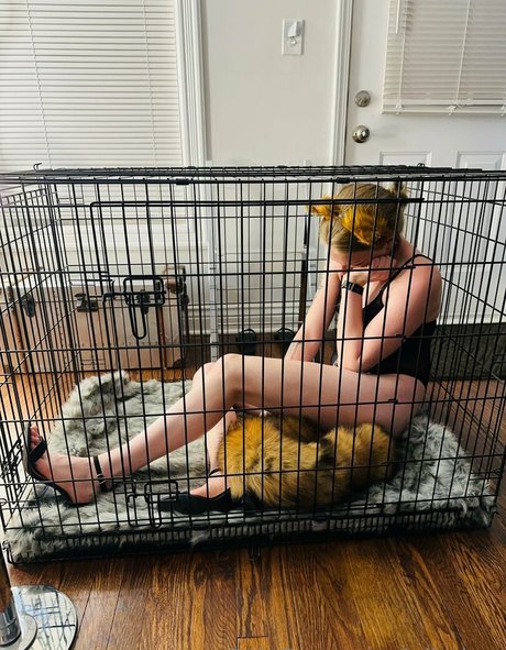 ivibabes estrella porno hd galería