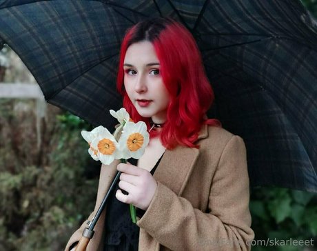 skarleeet étoile de l'art galerie