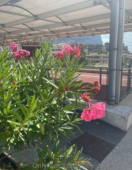 pollylittlecaprice buena actriz fotos