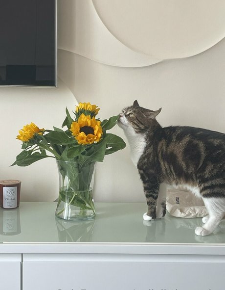 Onlyfans de adolescentes calientes porno superior galerías