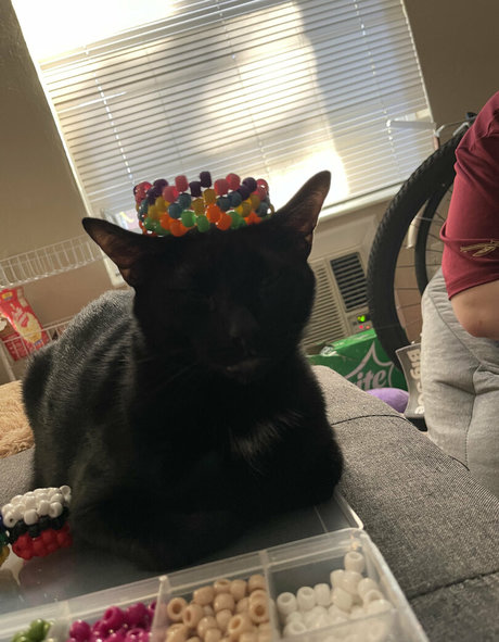 hereliesviolet actrice artistique photos