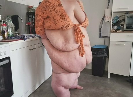 doughbellygirl estrella libre archivo