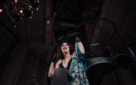 lobfree estrella hd imágenes