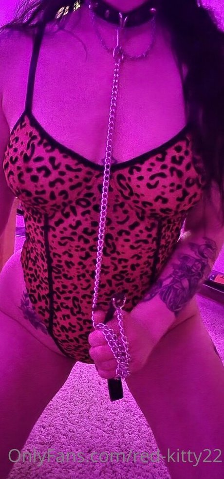 red kitty22 buen modelo archivo