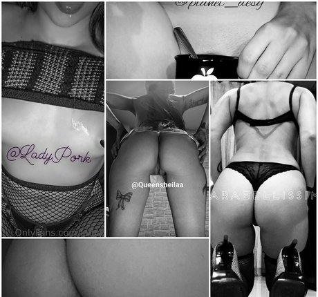 jokeritalia estrella exclusiva galerías