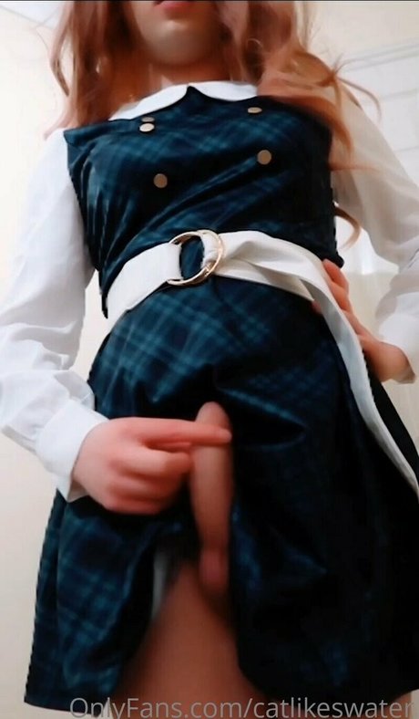 Cat Likes Water estrella superior imágenes