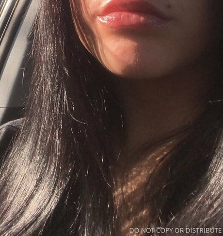 cassidy17 libre de estrellas archivo