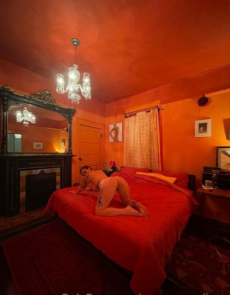 rosamagnoliaxo haut étoile img