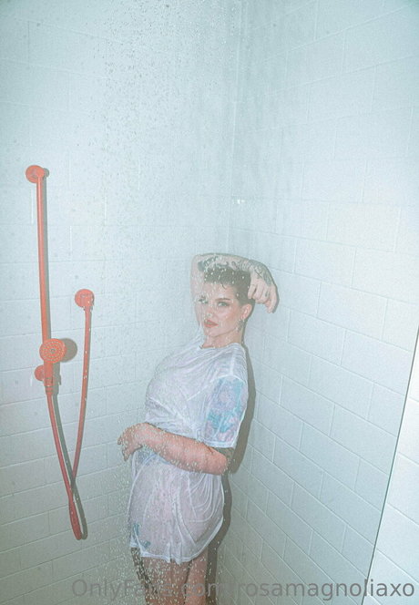 rosamagnoliaxo modèle de haute qualité image