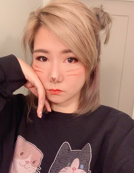 beccatilts libre de estrellas galerías