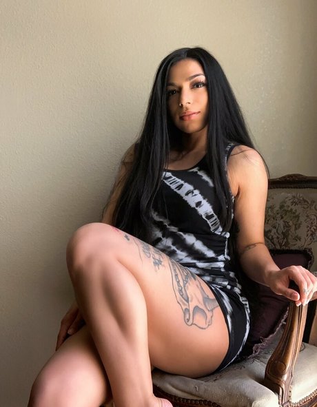 torothadon meilleur modèle images