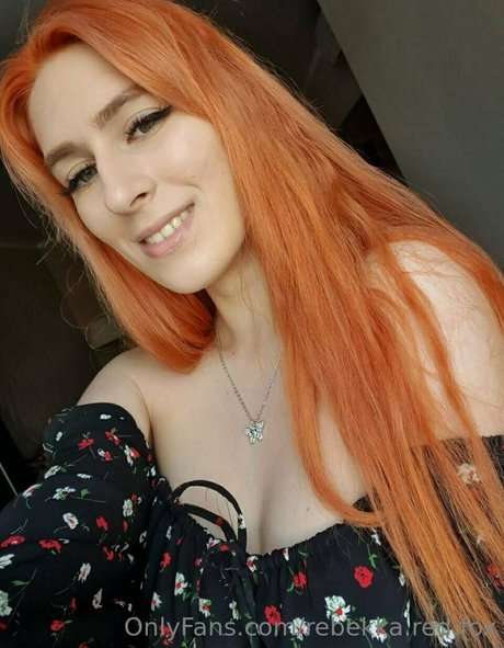 rebekka red fox estrella caliente galerías