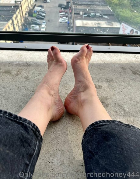 higharchedhoney444 estrella porno de alta calidad fotos