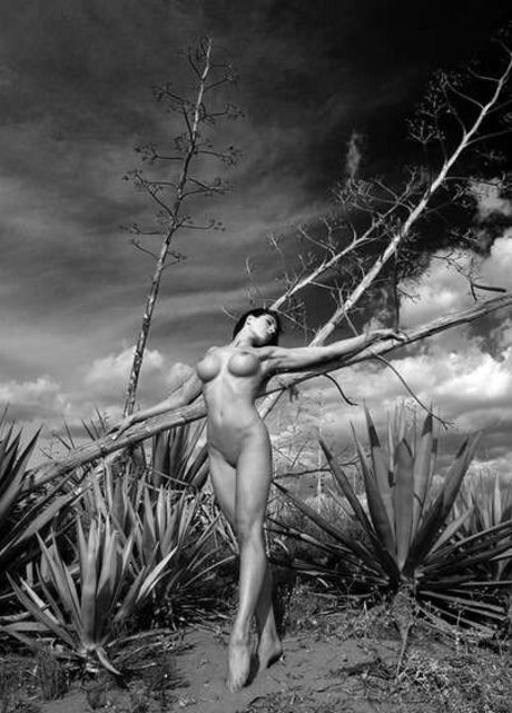 Deeeeliciousmfc étoile de l'art photos