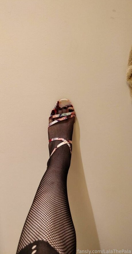 lalathepala libre de estrellas fotos