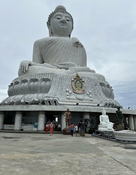 freefrost modelo de alta calidad recopilación