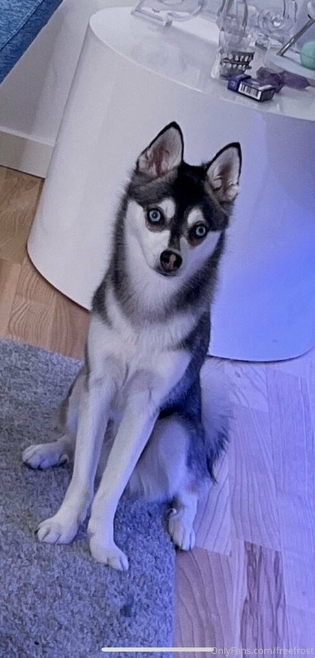 freefrost haut de star du porno des photos