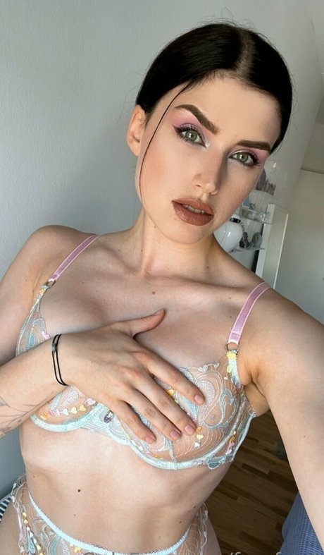 freefrost étoile chaude galerie