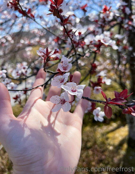 freefrost bonita estrella porno archivo