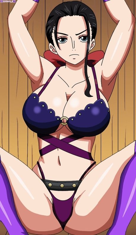 One Piece estrella exclusiva galerías