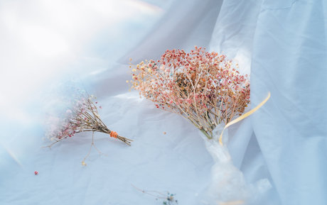 Rurusama9 star du porno nue images