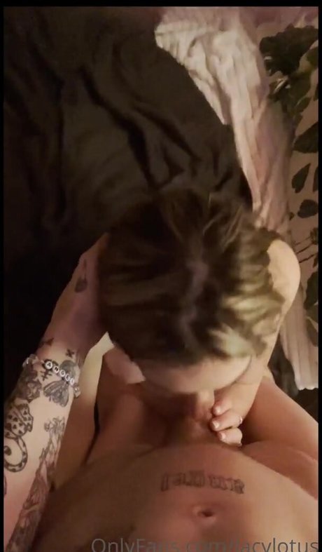 Skylarxraee estrella agradable galería