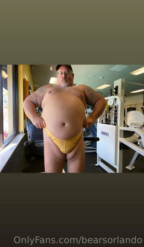 bearsorlando estrella superior imágenes