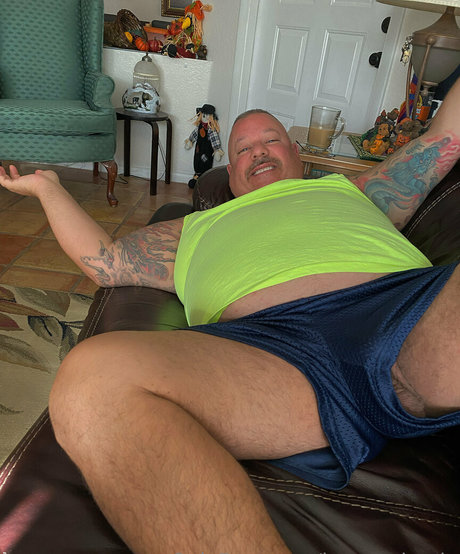 bearsorlando estrella atractiva archivo