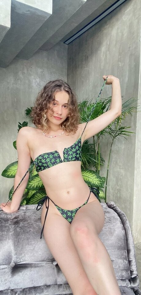 naaami estrella de alta calidad galería